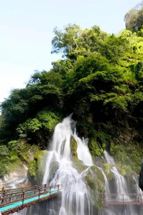 小长颈鹿逃离